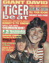 tigerbeat71.jpg