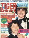 tigerbeat72-2.jpg