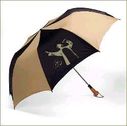 Filename=umbrella_big.jpg
Filesize=10KiB
Dimensions=250x248
Date added=Aug 18, 2014 umbrella_big.jpg